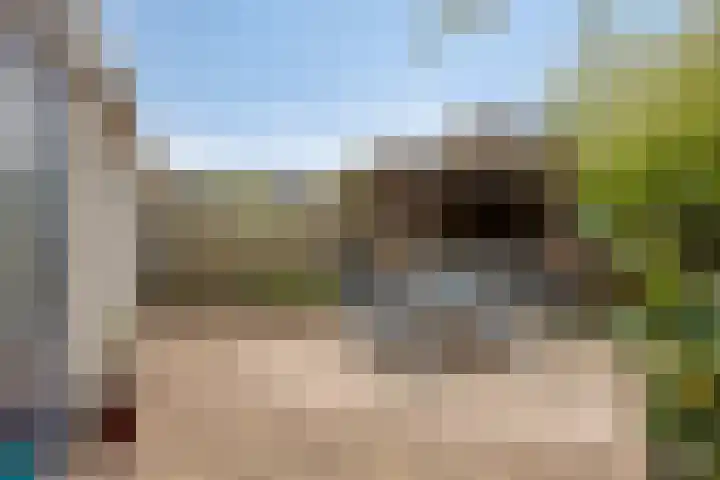 Florijn 39 Dronten thumbnail 36