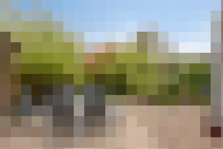 Florijn 39 Dronten thumbnail 37