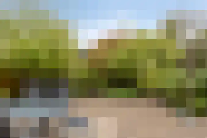 Florijn 39 Dronten thumbnail 38