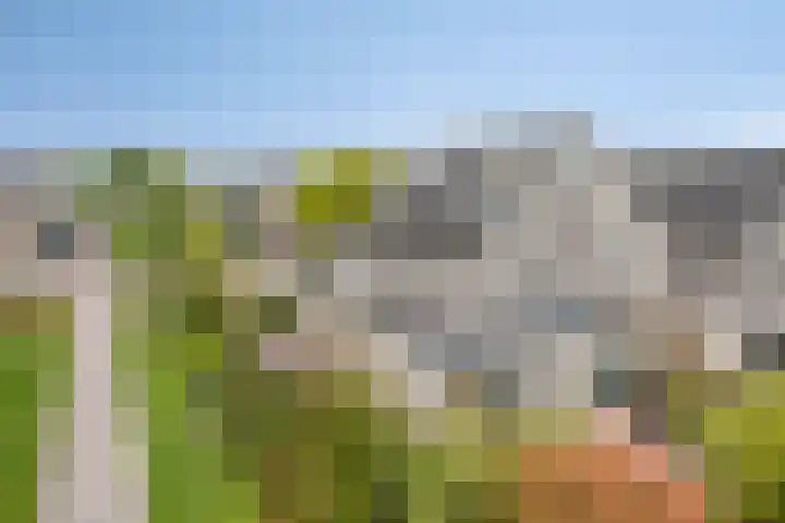Florijn 39 Dronten thumbnail 4