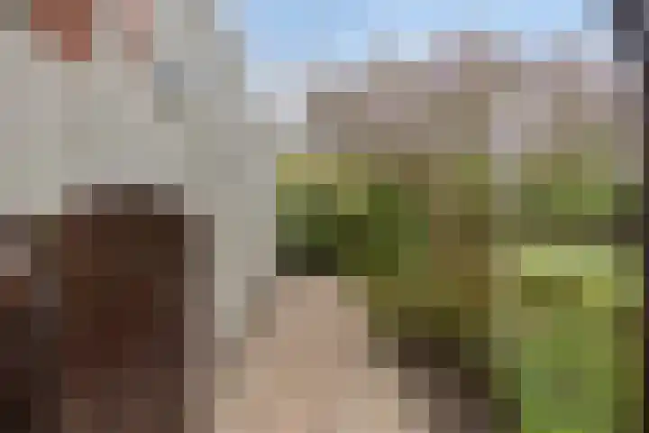 Florijn 39 Dronten thumbnail 41