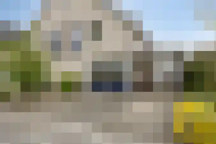 Florijn 39 Dronten thumbnail 42