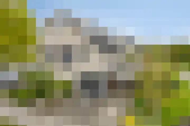 Florijn 39 Dronten thumbnail 45