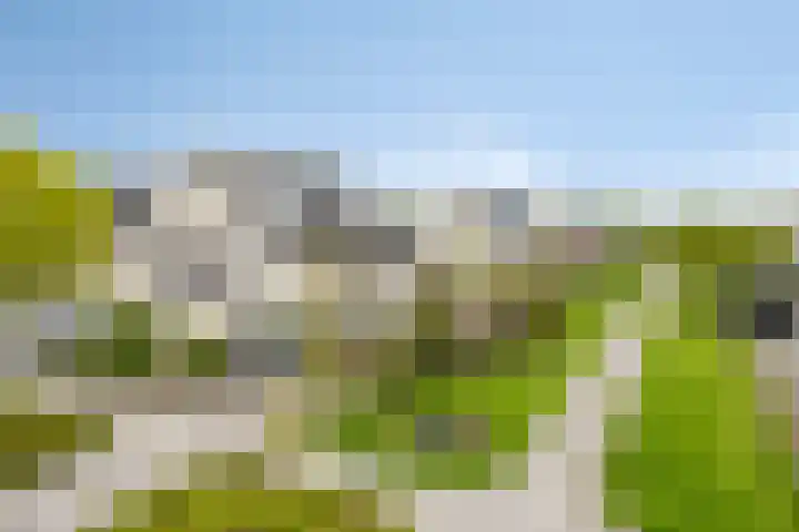 Florijn 39 Dronten thumbnail 46