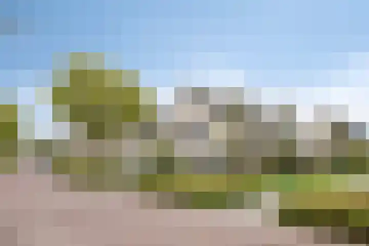 Florijn 39 Dronten thumbnail 47