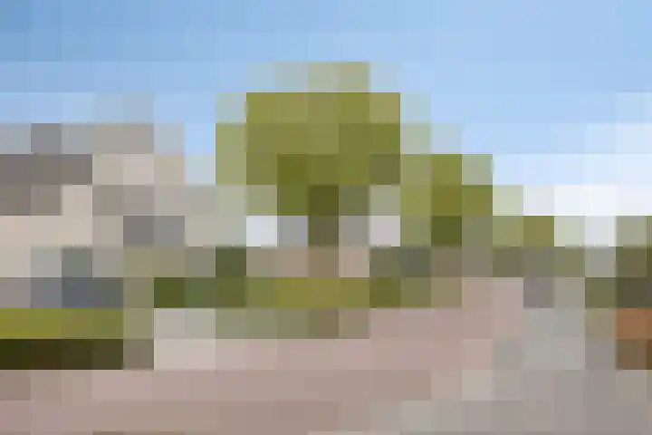 Florijn 39 Dronten thumbnail 48
