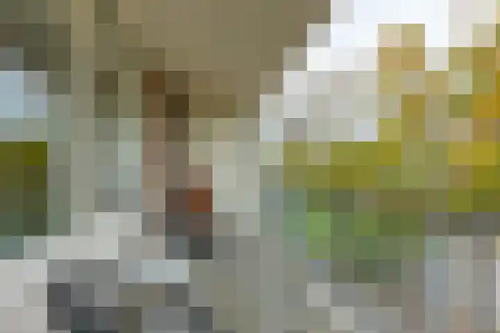 Florijn 47 Leiderdorp thumbnail 12