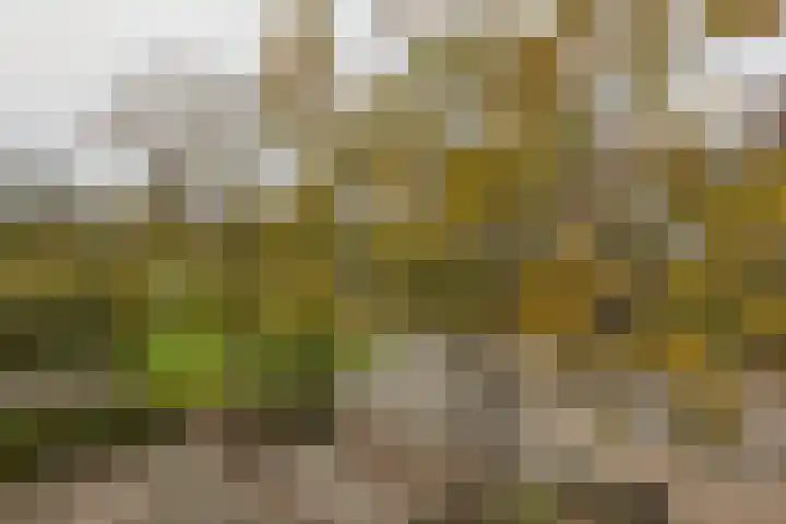 Florijn 47 Leiderdorp thumbnail 13
