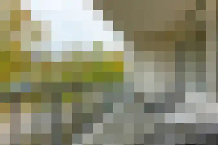Florijn 47 Leiderdorp thumbnail 14