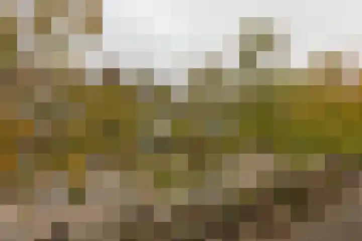 Florijn 47 Leiderdorp thumbnail 15