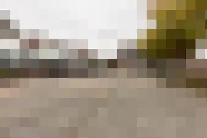 Florijn 47 Leiderdorp thumbnail 29