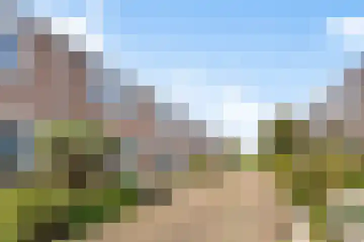 Florijn 5 Zaandam thumbnail 37