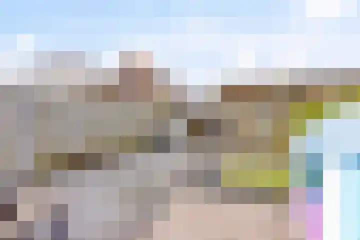 Florijn 5 Zaandam thumbnail 4