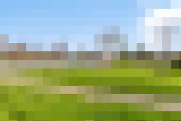 Florijn 5 Zaandam thumbnail 40