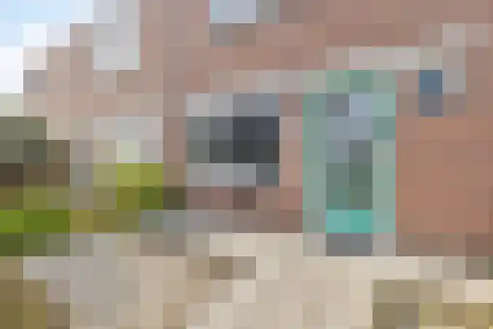 Florijn 5 Zaandam thumbnail 5