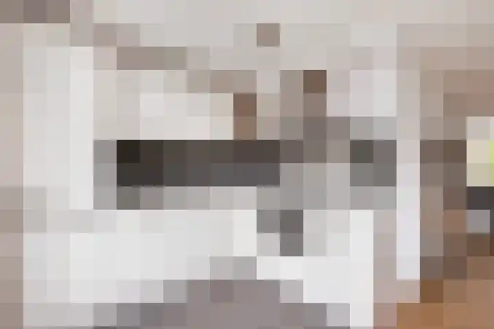 Florijn 56 Dronten thumbnail 11