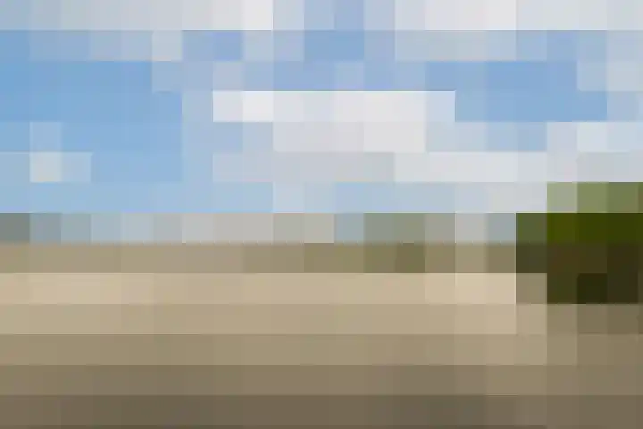 Florijn 56 Dronten thumbnail 12