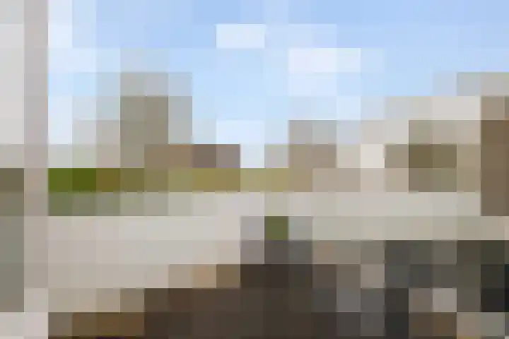 Florijn 56 Dronten thumbnail 14