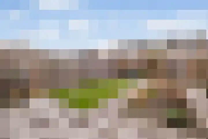 Florijn 56 Dronten thumbnail 22