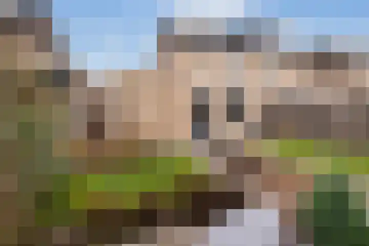 Florijn 56 Dronten thumbnail 23