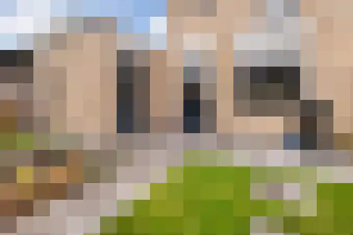 Florijn 56 Dronten thumbnail 24