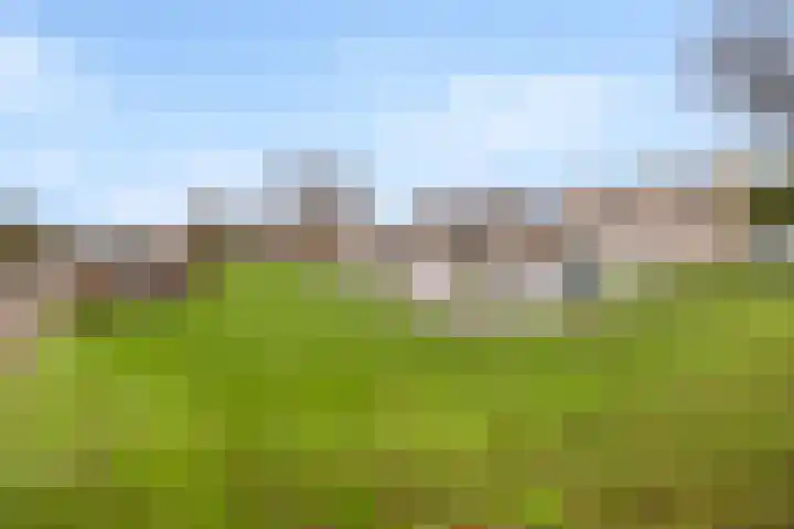 Florijn 56 Dronten thumbnail 4