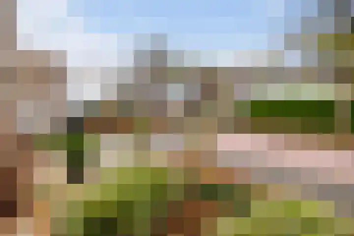 Florijn 56 Dronten thumbnail 5