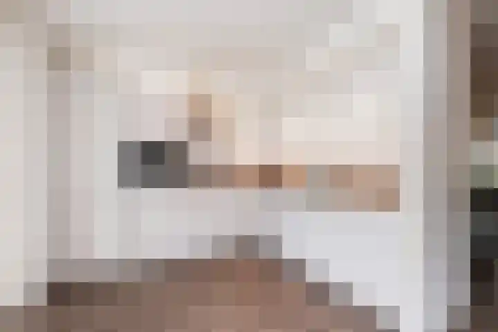 Florijn 96 Dronten thumbnail 12