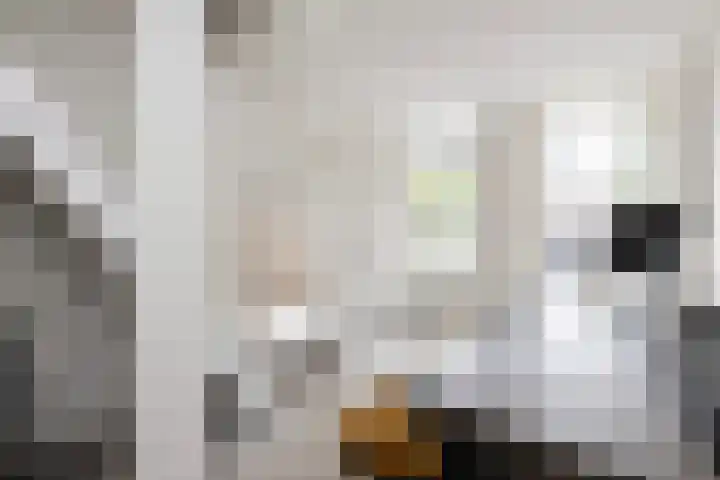 Florijn 96 Dronten thumbnail 14