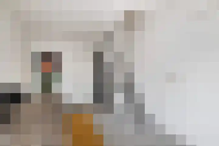 Florijn 96 Dronten thumbnail 15