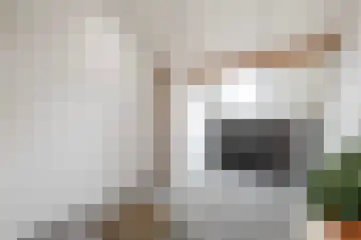 Florijn 96 Dronten thumbnail 16