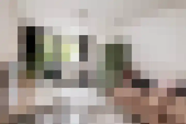 Florijn 96 Dronten thumbnail 19