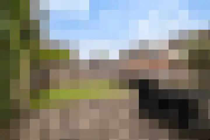 Florijn 96 Dronten thumbnail 25