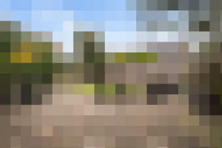 Florijn 96 Dronten thumbnail 26