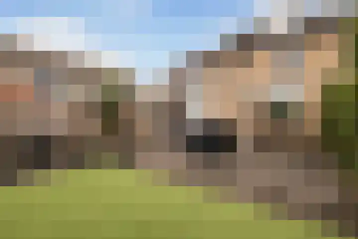 Florijn 96 Dronten thumbnail 27