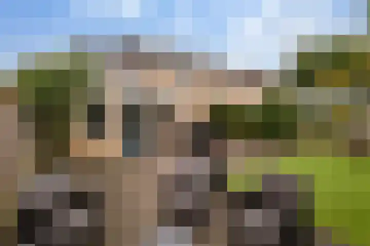Florijn 96 Dronten thumbnail 28