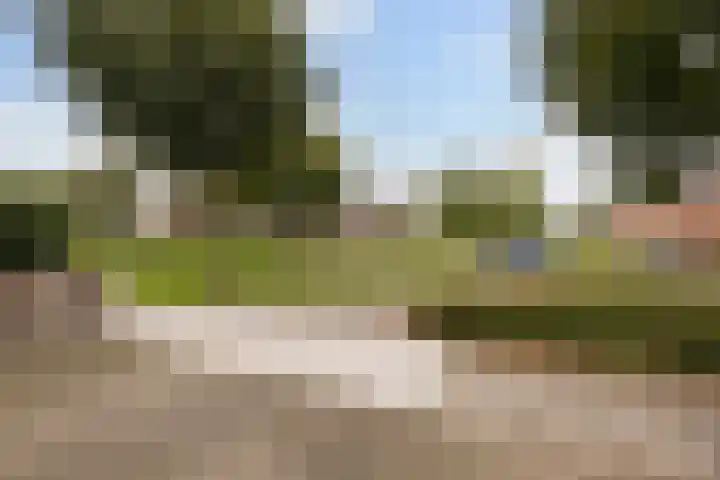 Florijn 96 Dronten thumbnail 4