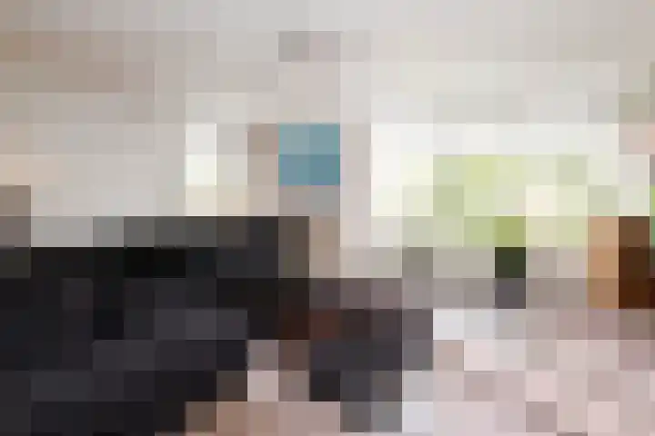 Florijn 96 Dronten thumbnail 6