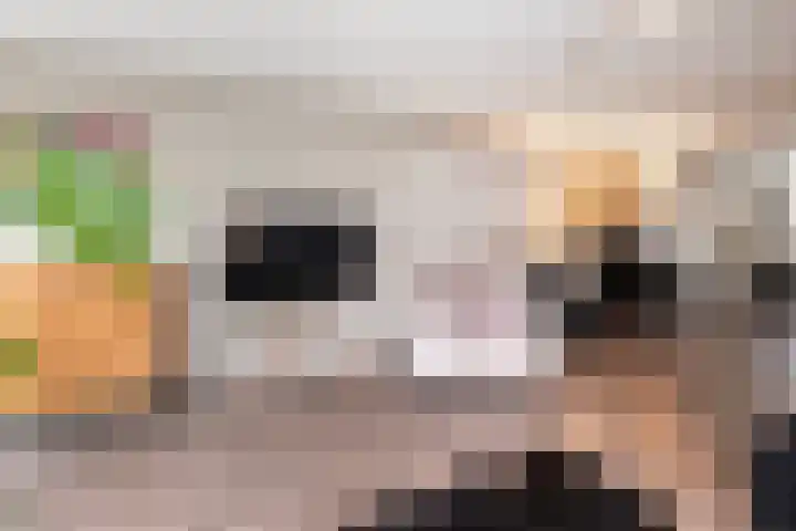 Florijn 96 Dronten thumbnail 7