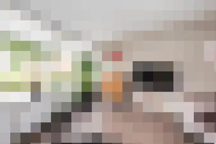 Florijn 96 Dronten thumbnail 8