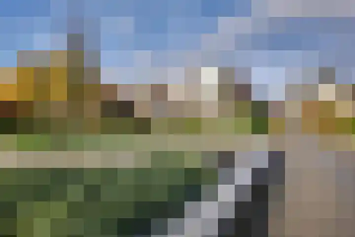 Floriszstraat 44 Arnhem thumbnail 9