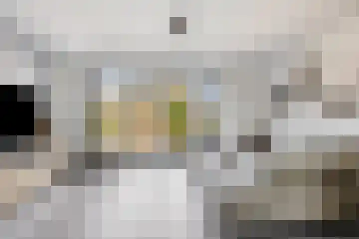 Florus Hoeve 4 Dodewaard thumbnail 12