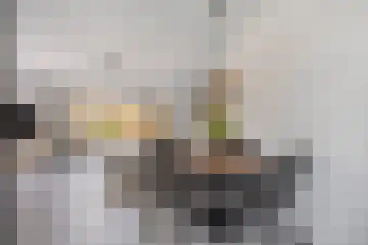 Florus Hoeve 4 Dodewaard thumbnail 4