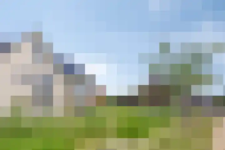 Florus Hoeve 4 Dodewaard thumbnail 7
