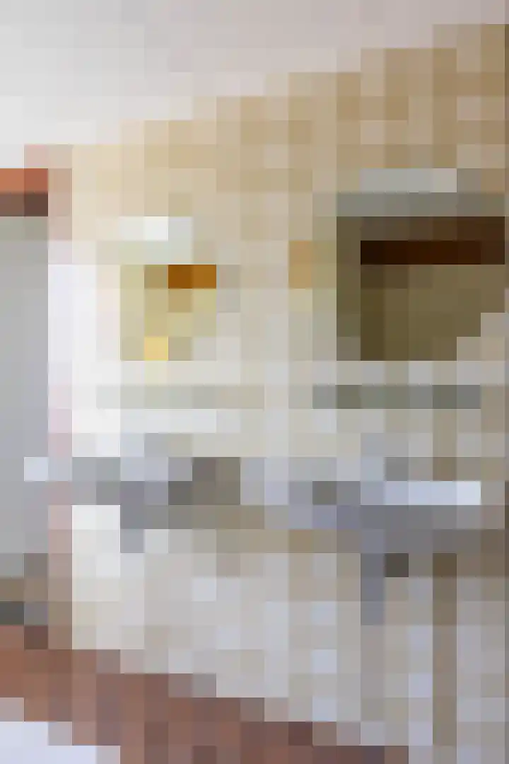 Fluessen 9 Drachten thumbnail 31
