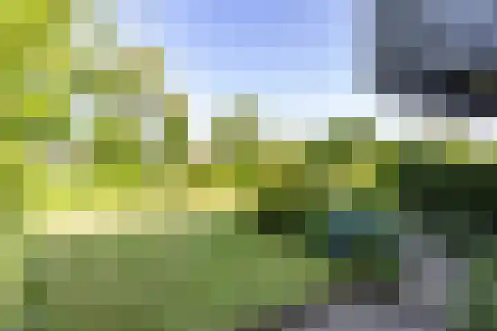 Fluessen 9 Drachten thumbnail 47