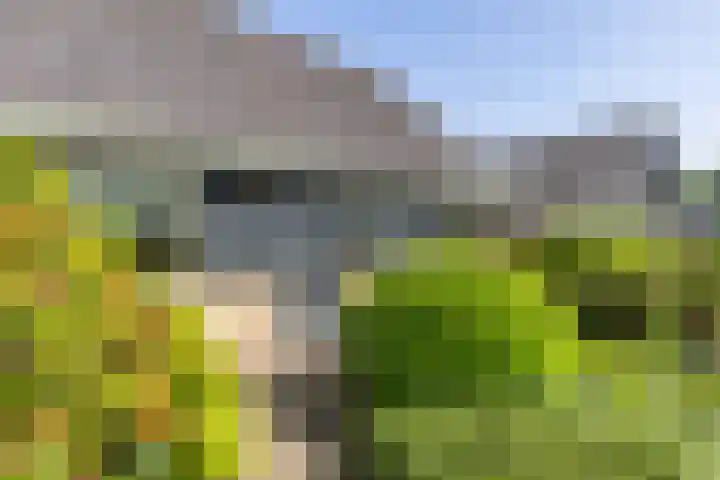 Fluessen 9 Drachten thumbnail 7