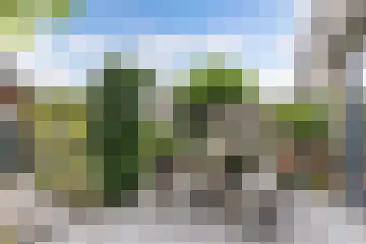 Fluit 28 Lemmer thumbnail 19