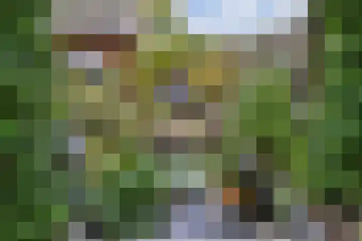 Fluit 28 Lemmer thumbnail 20