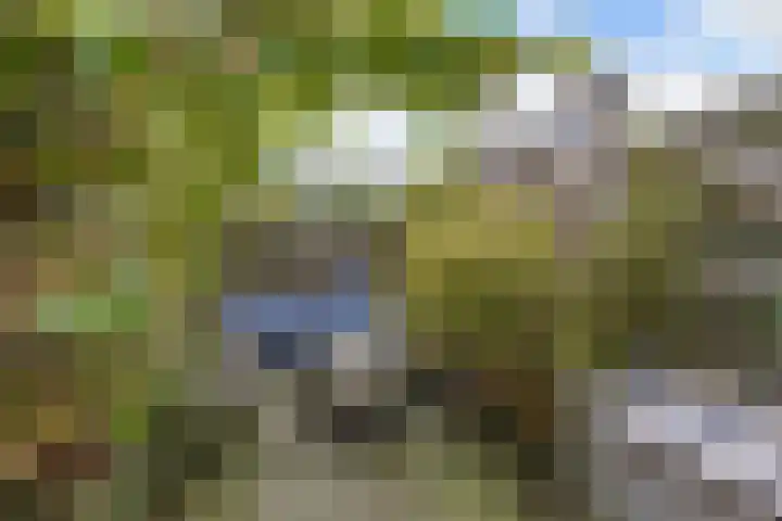 Fluit 28 Lemmer thumbnail 21